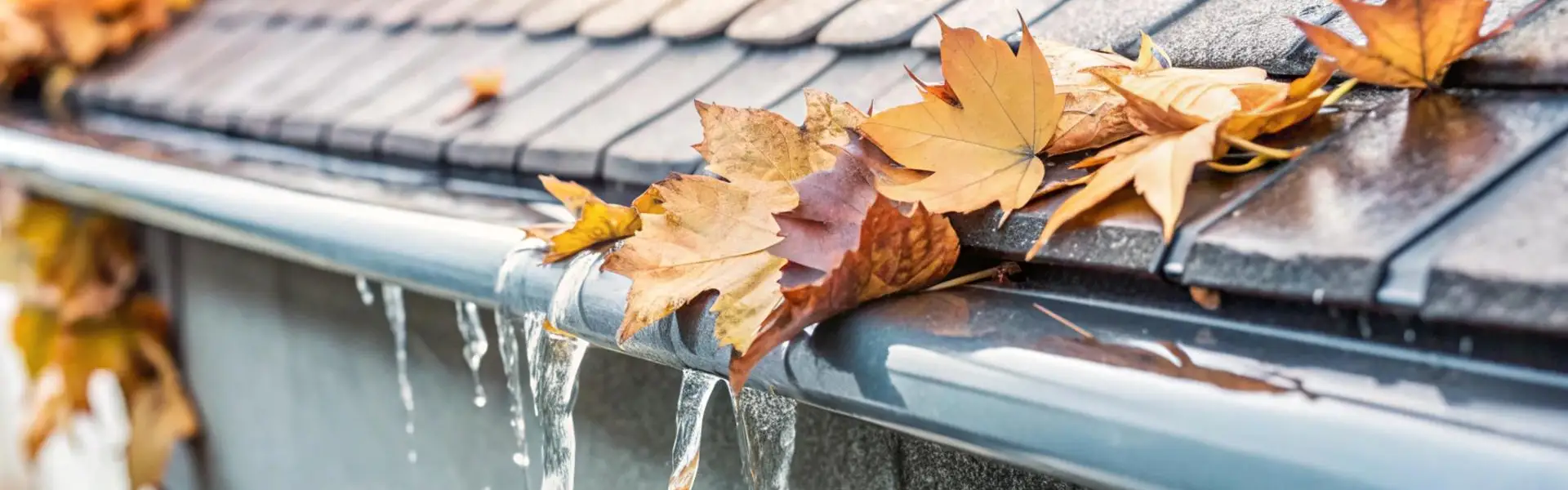Détection fuite sur toiture et gouttières